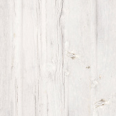 Lily Pine 8118 400x400 (1)