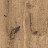 Honey Oak 8088 400x400 (1)