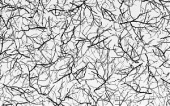 6f506c3f-dba5-11e9-a464-001e670406c4-1