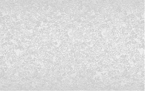 4a5c6545-f7f1-11ea-b3d1-001e670406c4-1