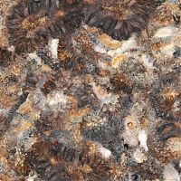 c2ea2d5f-7ab7-11ec-80ea-001e670406c4-1