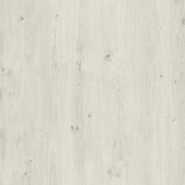 8efa6dc3-913f-11ef-8161-001e670406c5-1