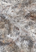 8f0c9d5d-7ab7-11ec-80ea-001e670406c4-1
