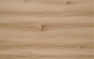 97e39d1e-0f89-11ea-a464-001e670406c4-1