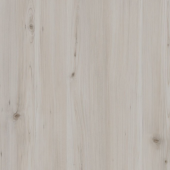 Кедр Енисейский дымчатый