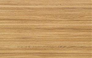 21e2dcac-01a4-11ec-80ce-001e670406c5-1