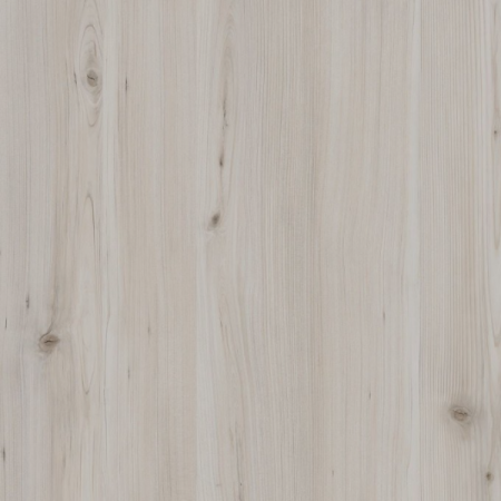 Кедр Енисейский дымчатый