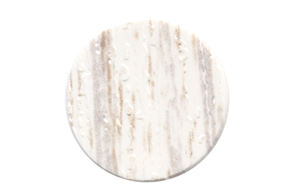 sosna_belenaya_kronopol_kp_3168