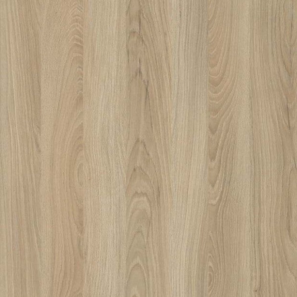 68bcf9c5-a8a5-11ef-8164-001e670406c4-1