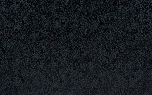 7ec79893-dcf6-11ec-80fc-001e670406c5-2