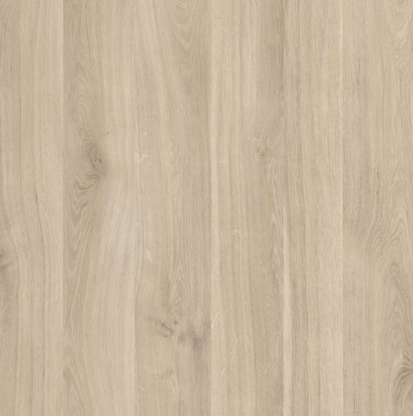 1ee06fec-808e-11ef-8160-001e670406c5-1