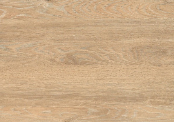 5e267456-5135-11ee-8142-001e670406c5-1