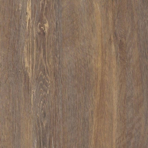 acc74fbc-94fa-11ef-8162-001e670406c5-1