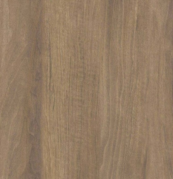 a20354b5-386d-11ef-8159-001e670406c4-1