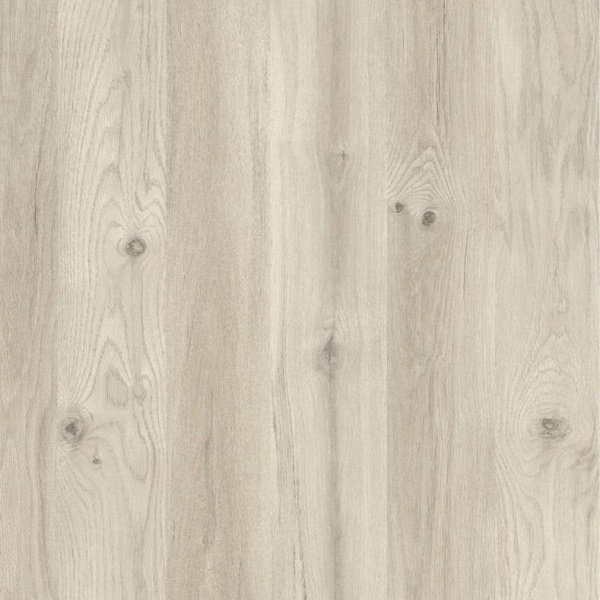 50203570-a8a6-11ef-8164-001e670406c4-1